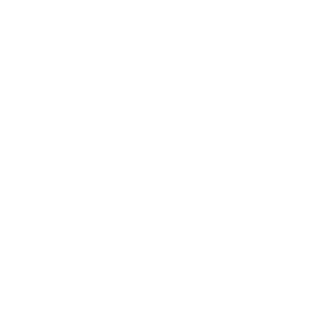 UDG