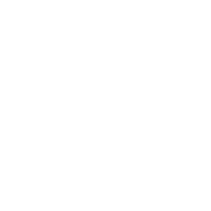 UDL
